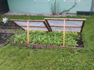Ask a Master Gardener: Start your garden early with cold frames