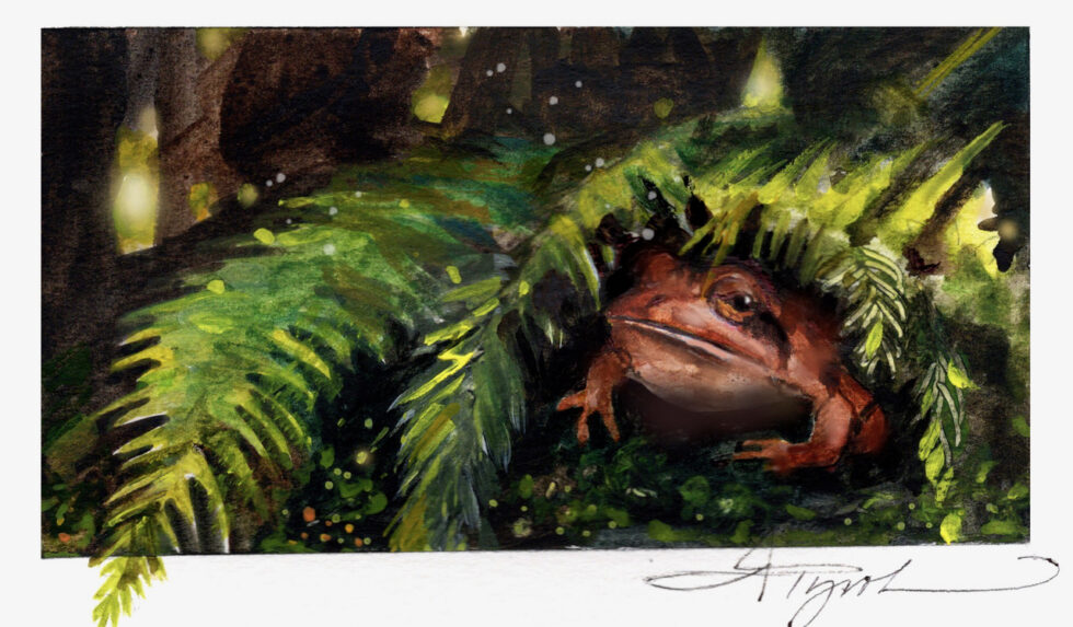 The Outside Story: Why did the frog cross the road? | Addison Independent