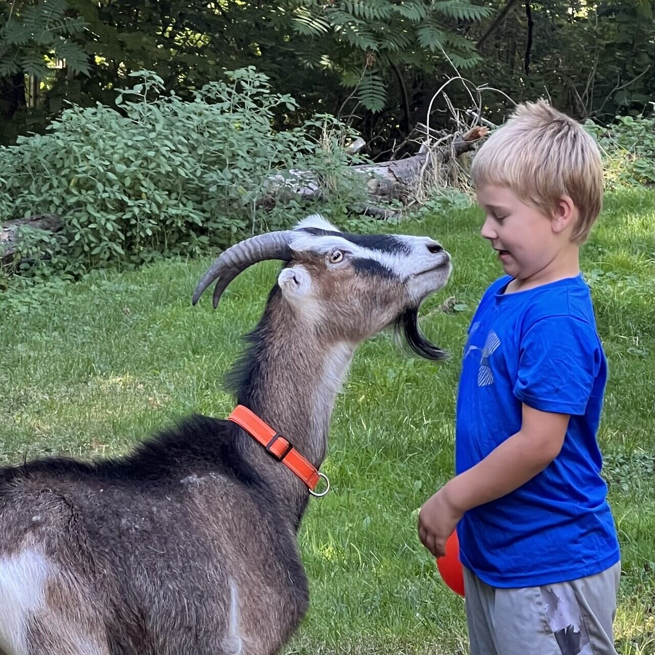 Best Pals