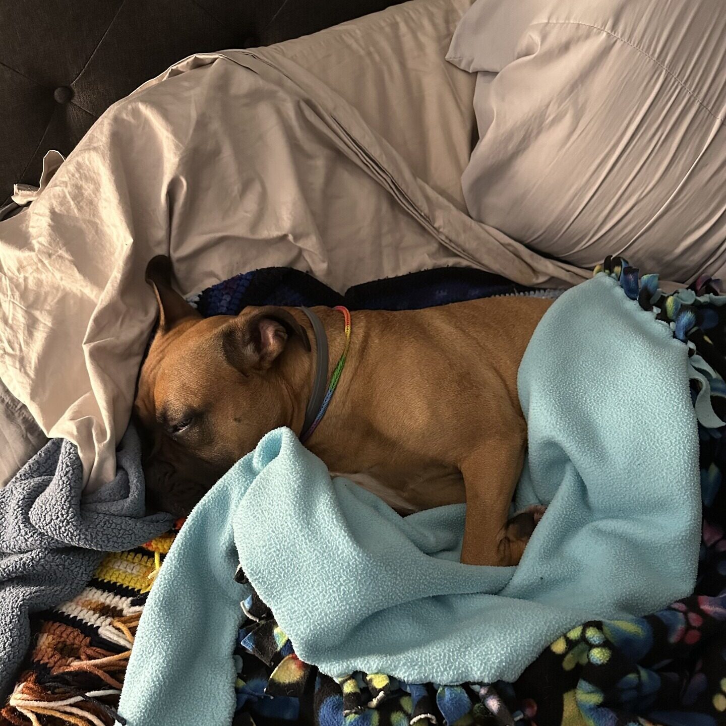 Couch Potato