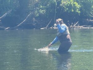 Vermonter goes fly fishing on Arkansas’s Norfork River