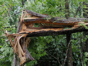 Lincoln tornado causes destruction