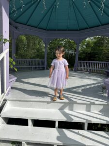 Ways of Seeing: The Purple Gazebo