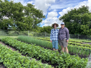 New Haven farm to offer free produce, opportunities for community