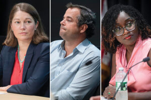 Three Democrats vie for lieutenant governor