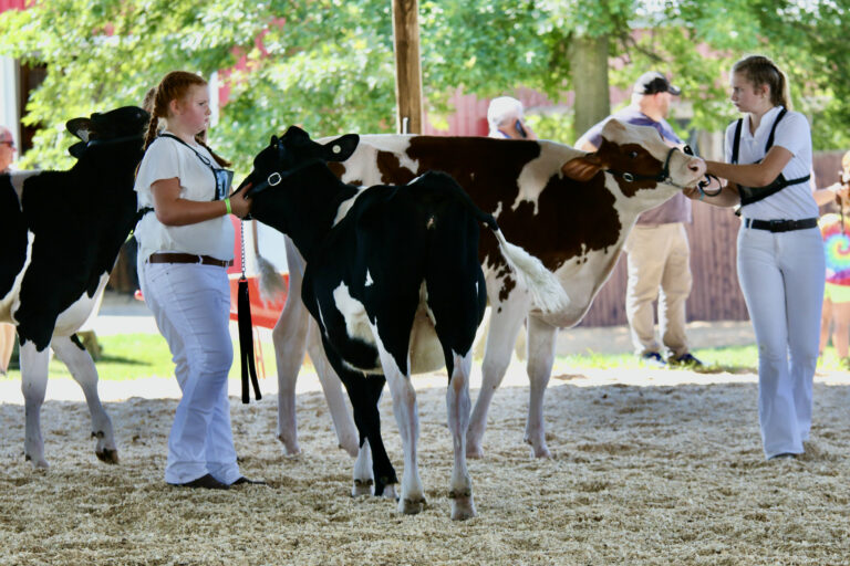 Addison County Fair & Field Days 2026
