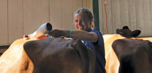 4-H’ers become hair stylists for cows
