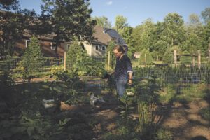 Farm stays connect visitors with Vermont agriculture community