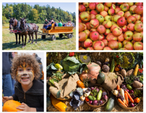 Willowell Harvest Festival