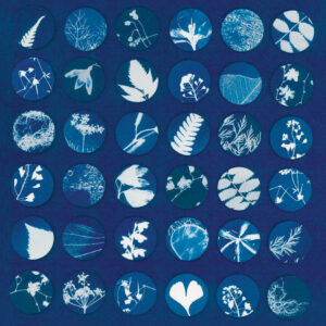 Cyanotype exhibit opens at PhotoPlace Gallery in Middlebury