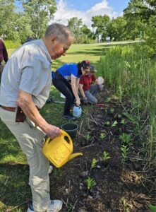 Rotary plants to grow butterflies
