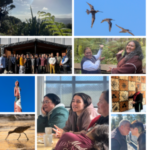 Soaring with the Kuaka: Migrations of Knowledge and Future Making from Aotearoa to Addison County