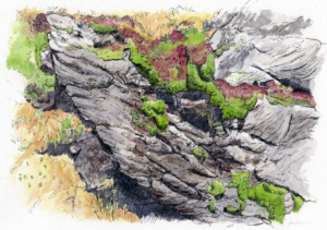 Explore where we are with art and geology in the new exhibit ‘You are Here’