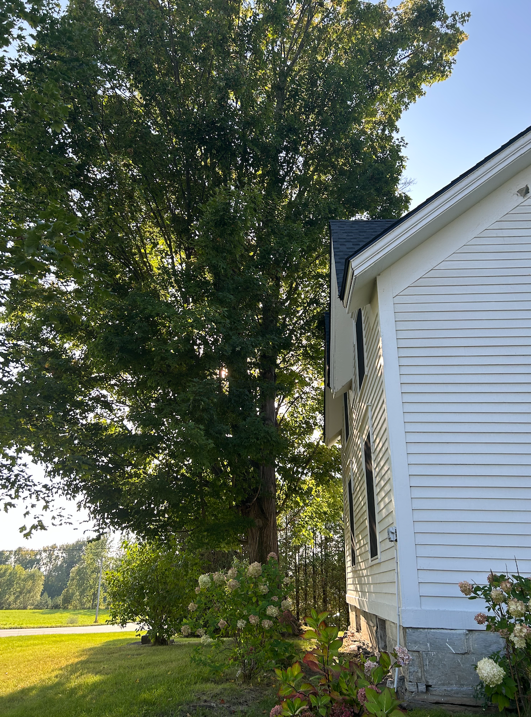 Terror in the Backyard: ICE’s shadow surge in Vermont
