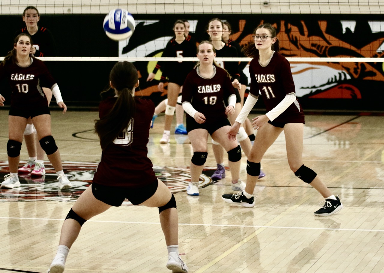 Tiger volleyball continues to tear through teams