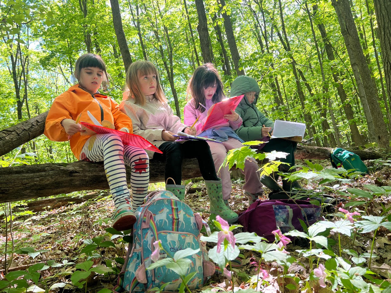 OCAS offers grants for environmental education