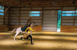 All Those Along the Path: An interspecies performance